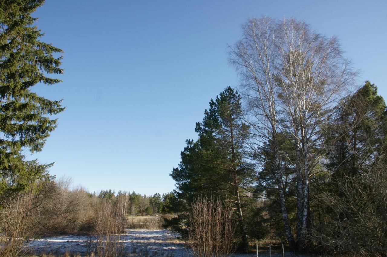 Bjoerkholm - Villa In Malilla Målilla Exterior foto